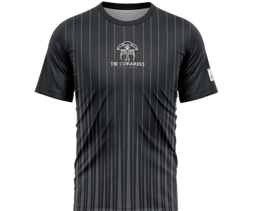 329-camiseta-santiago-gris.png
